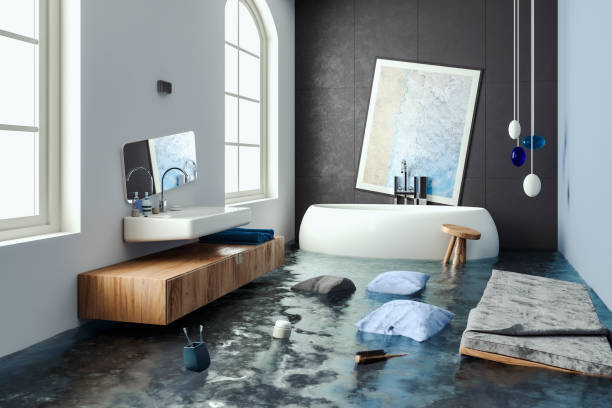 Best Flood restoration services  in Hailey, ID