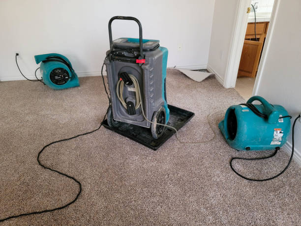 Best Flooded house restoration  in Hailey, ID