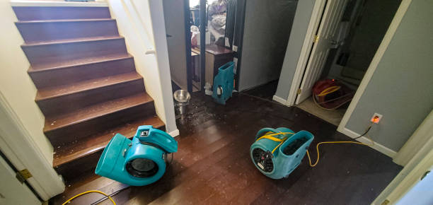 Trusted ID Water damage restoration Experts
