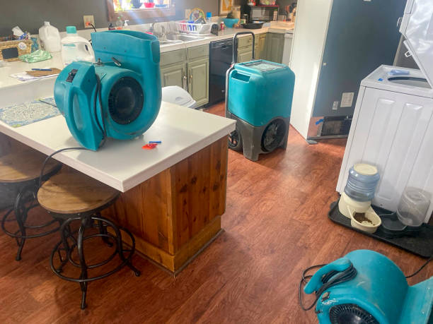 Best 24-hour water damage restoration  in Hailey, ID