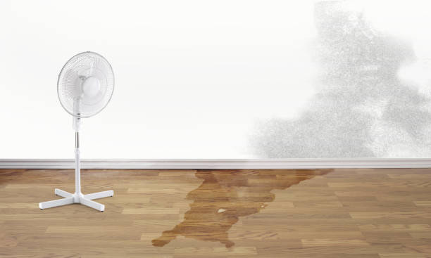 Best Ceiling water damage repair  in Hailey, ID