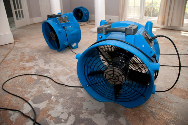  Hailey, ID Water damage restoration Pros
