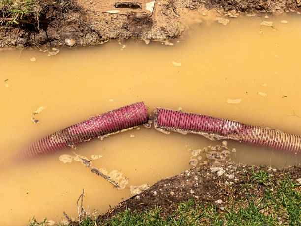 Best Flood damage cleanup  in Hailey, ID