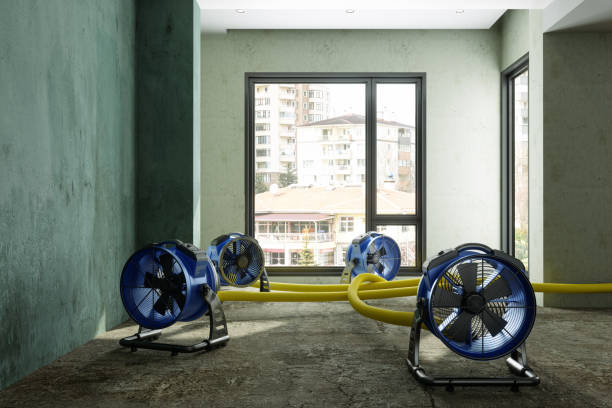 Best Flood restoration services  in Hailey, ID
