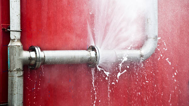 Best Mold removal after water damage  in Hailey, ID